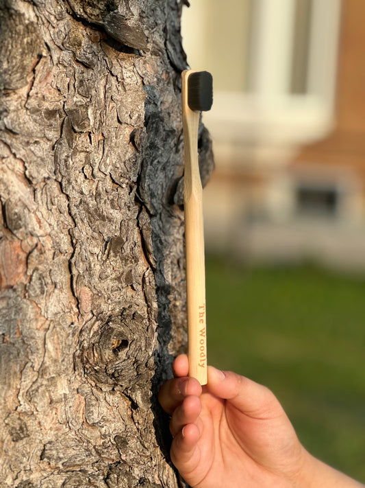 Woodly Bamboo Charcoal Bristle Toothbrush