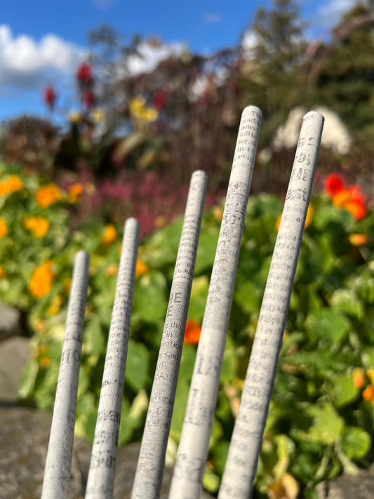 Paper Pencils – Pack of 5