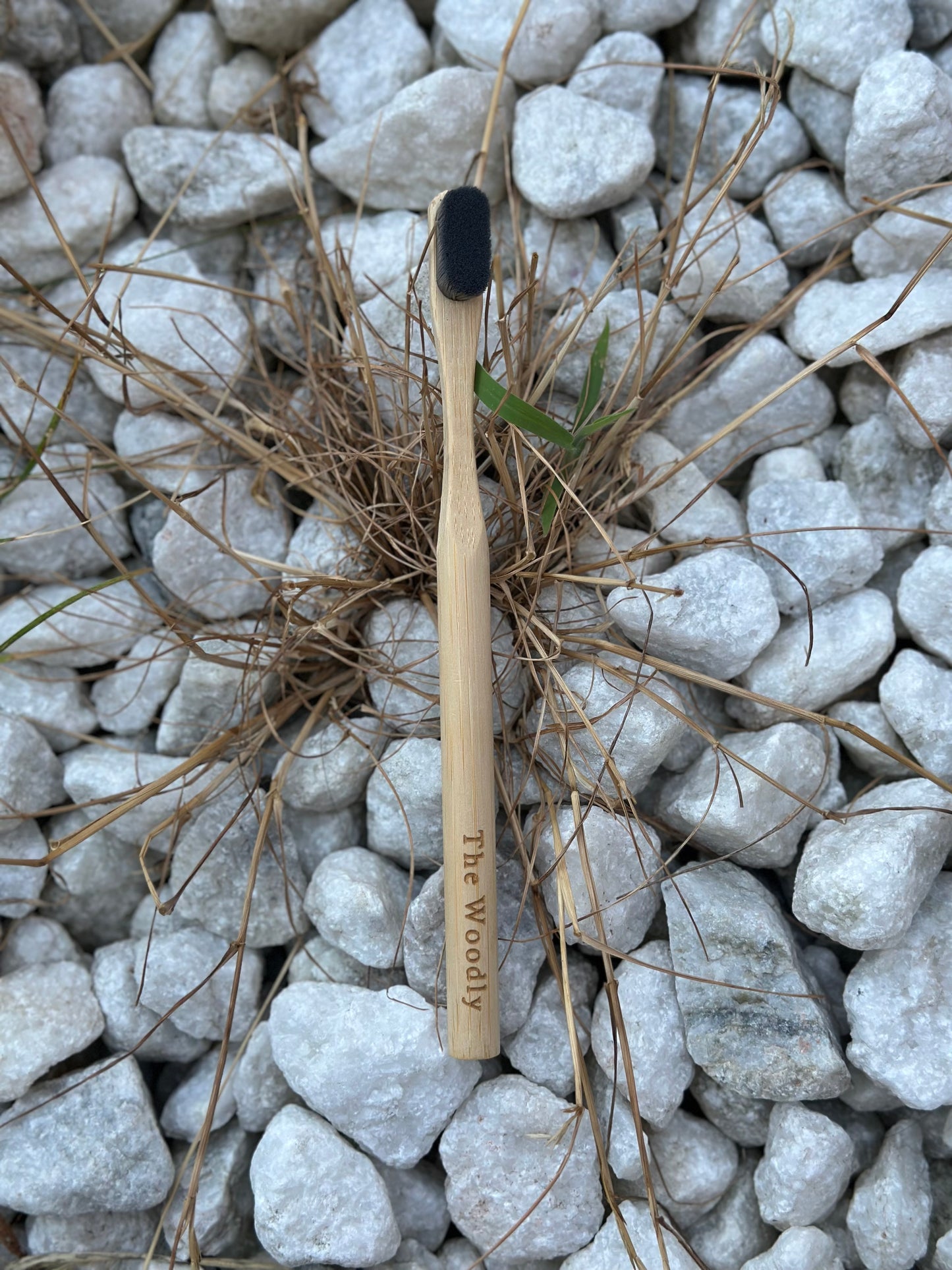 Woodly Bamboo Charcoal Bristle Toothbrush