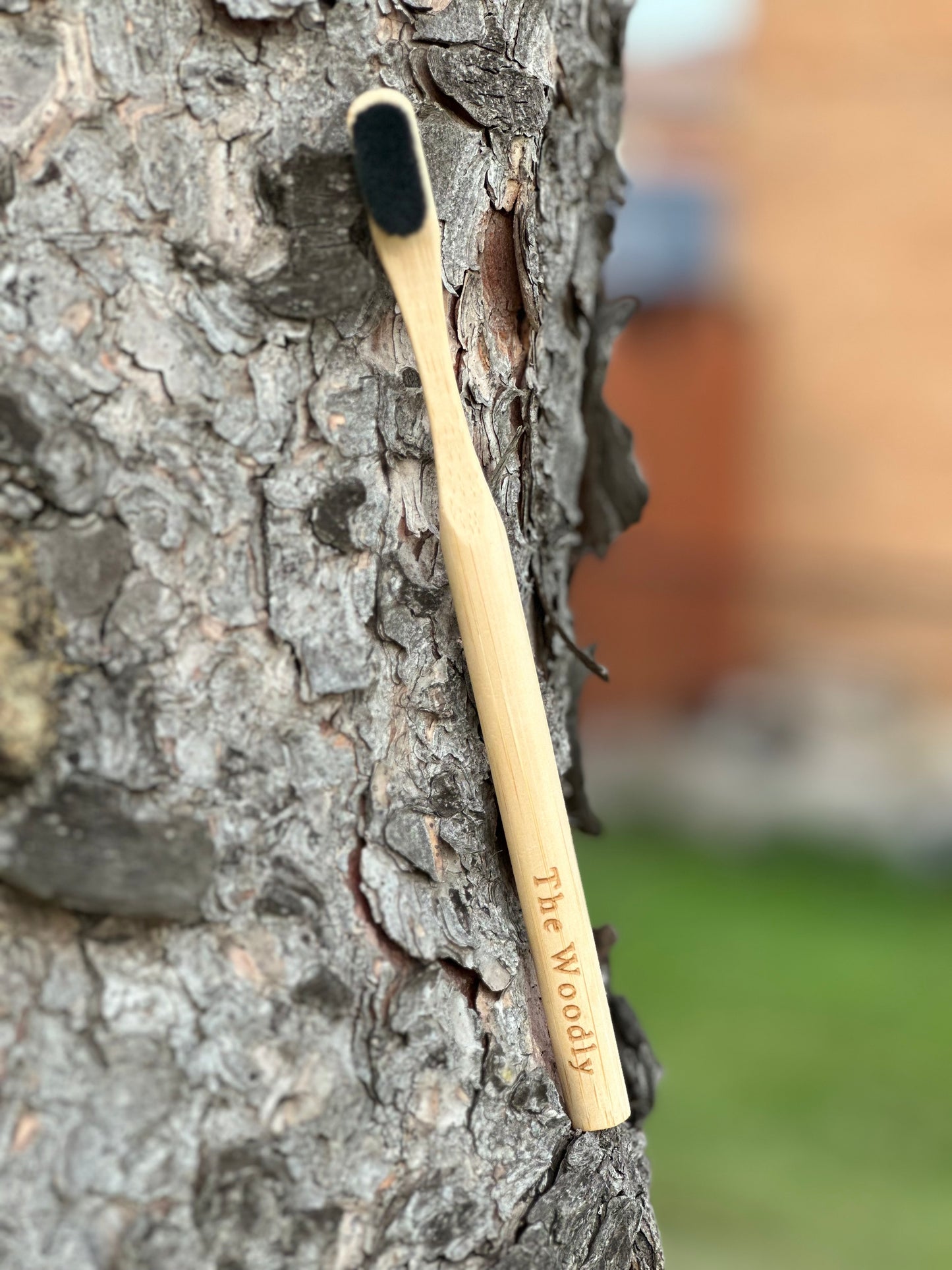 Woodly Bamboo Charcoal Bristle Toothbrush