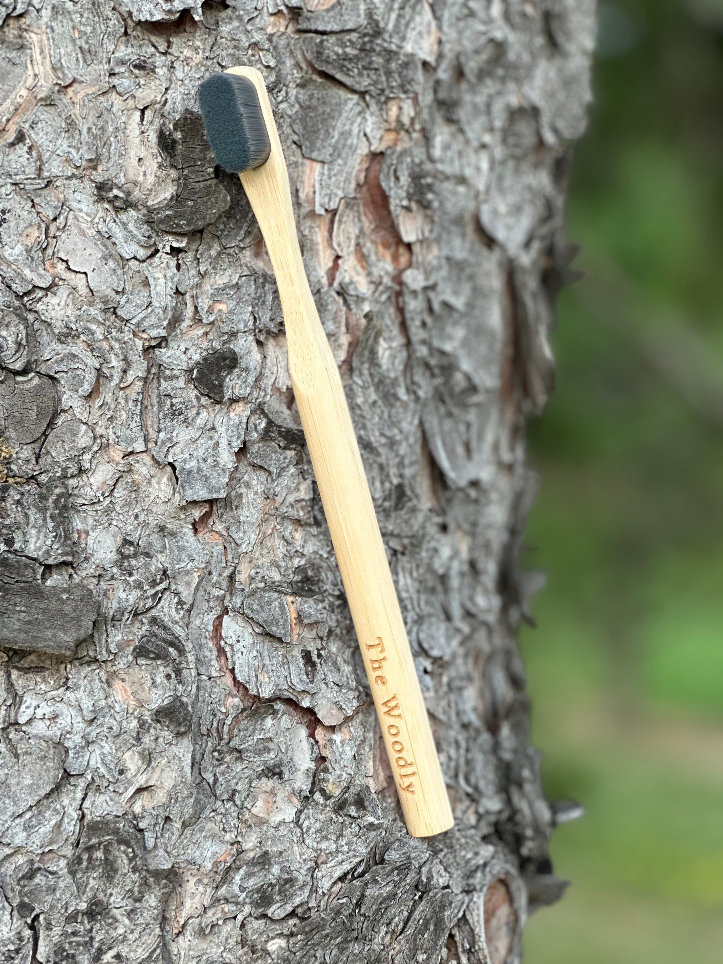 Woodly Bamboo Charcoal Bristle Toothbrush