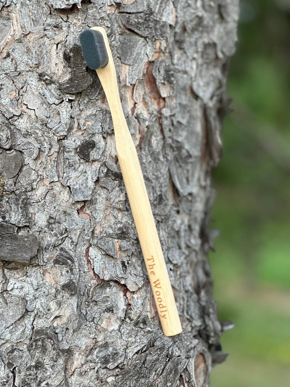 Woodly Bamboo Charcoal Bristle Toothbrush