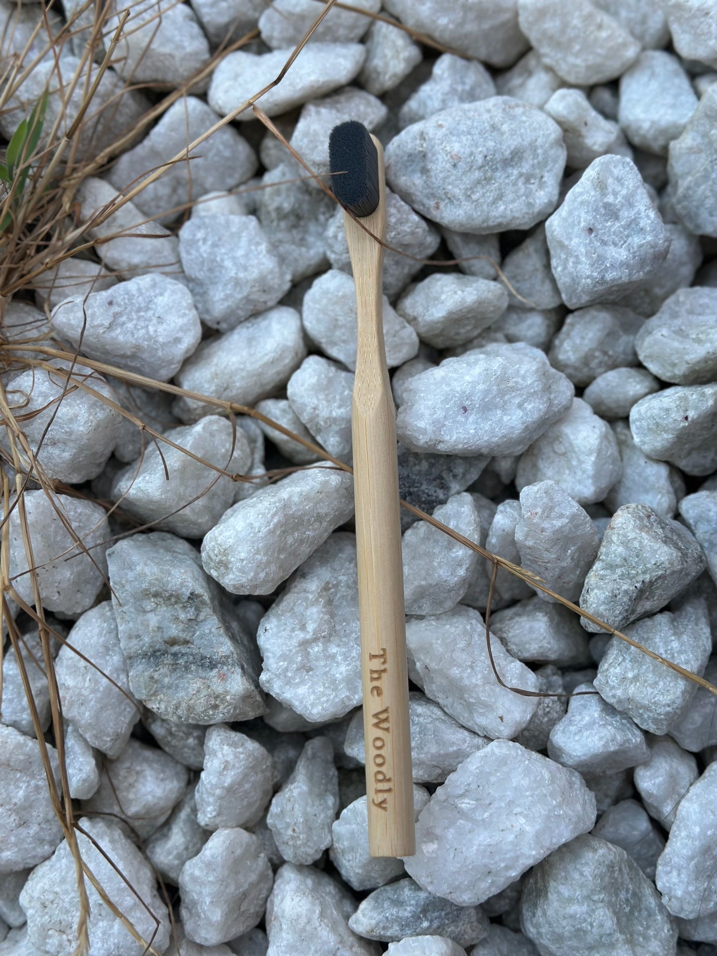 Woodly Bamboo Charcoal Bristle Toothbrush