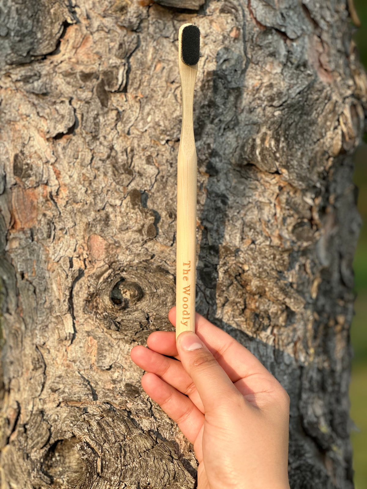 Woodly Bamboo Charcoal Bristle Toothbrush