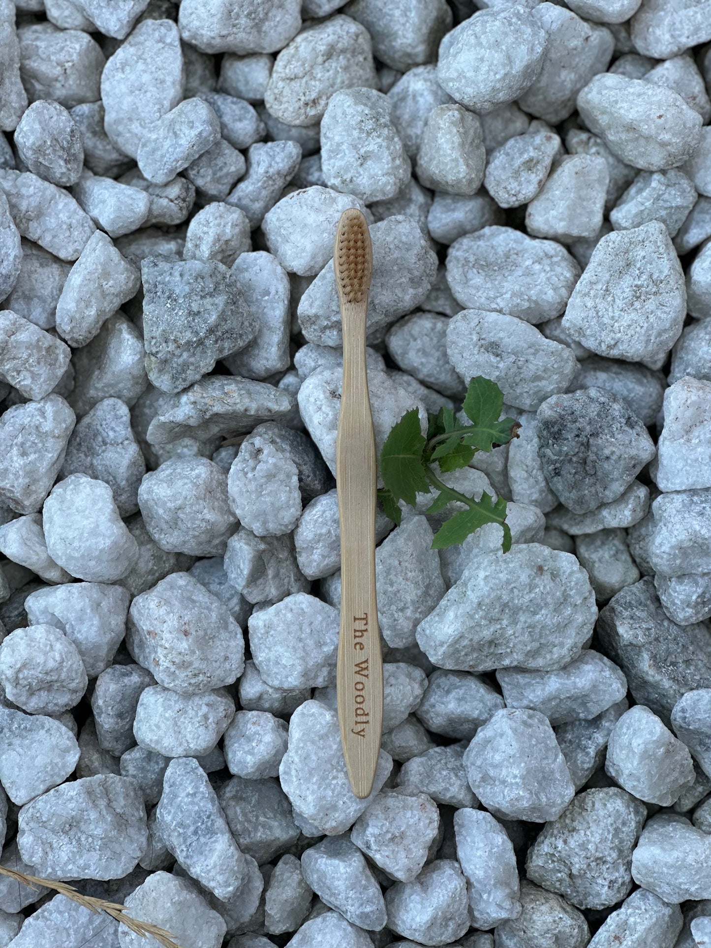 Bamboo Toothbrush