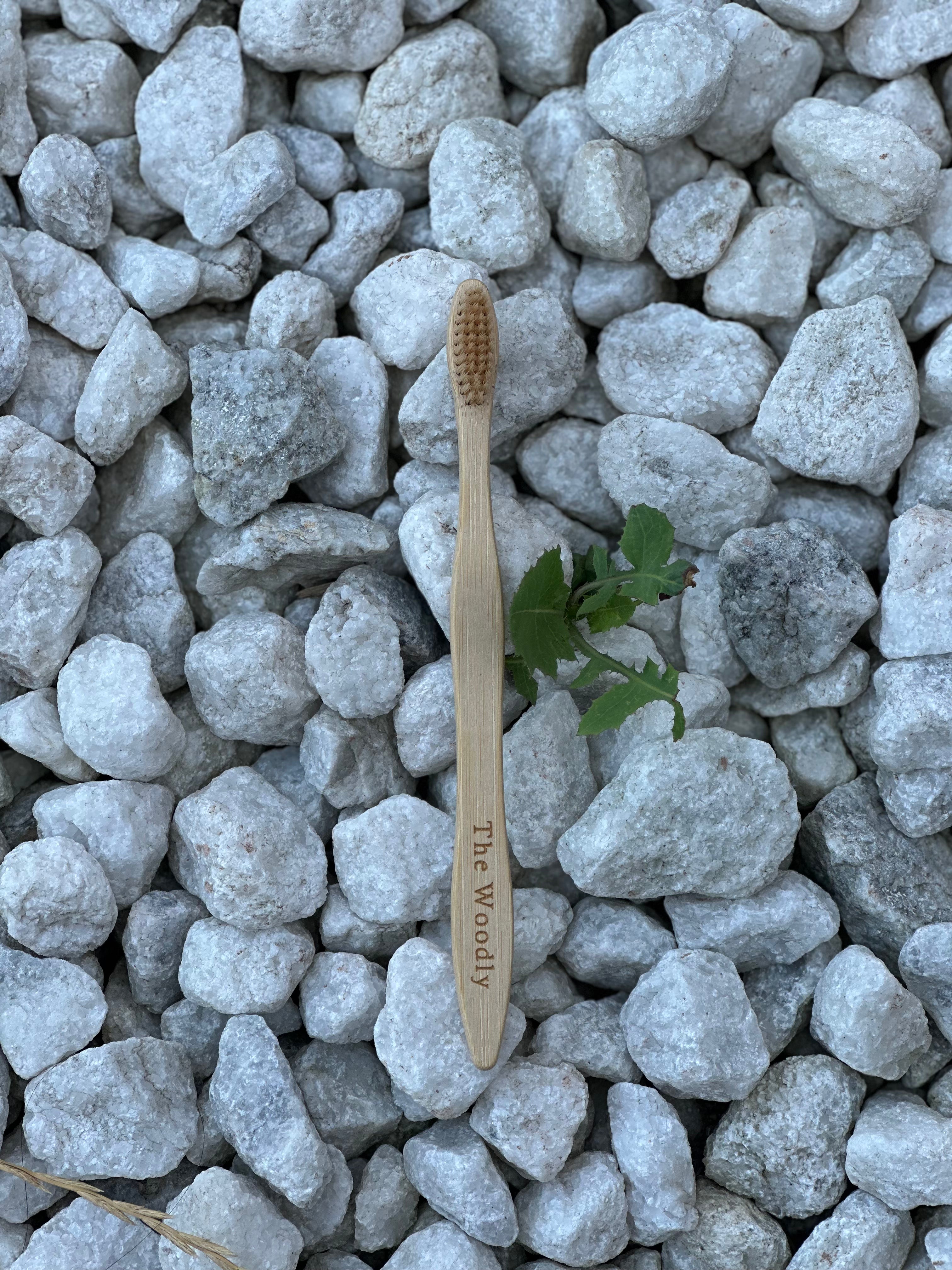 Bamboo Toothbrush
