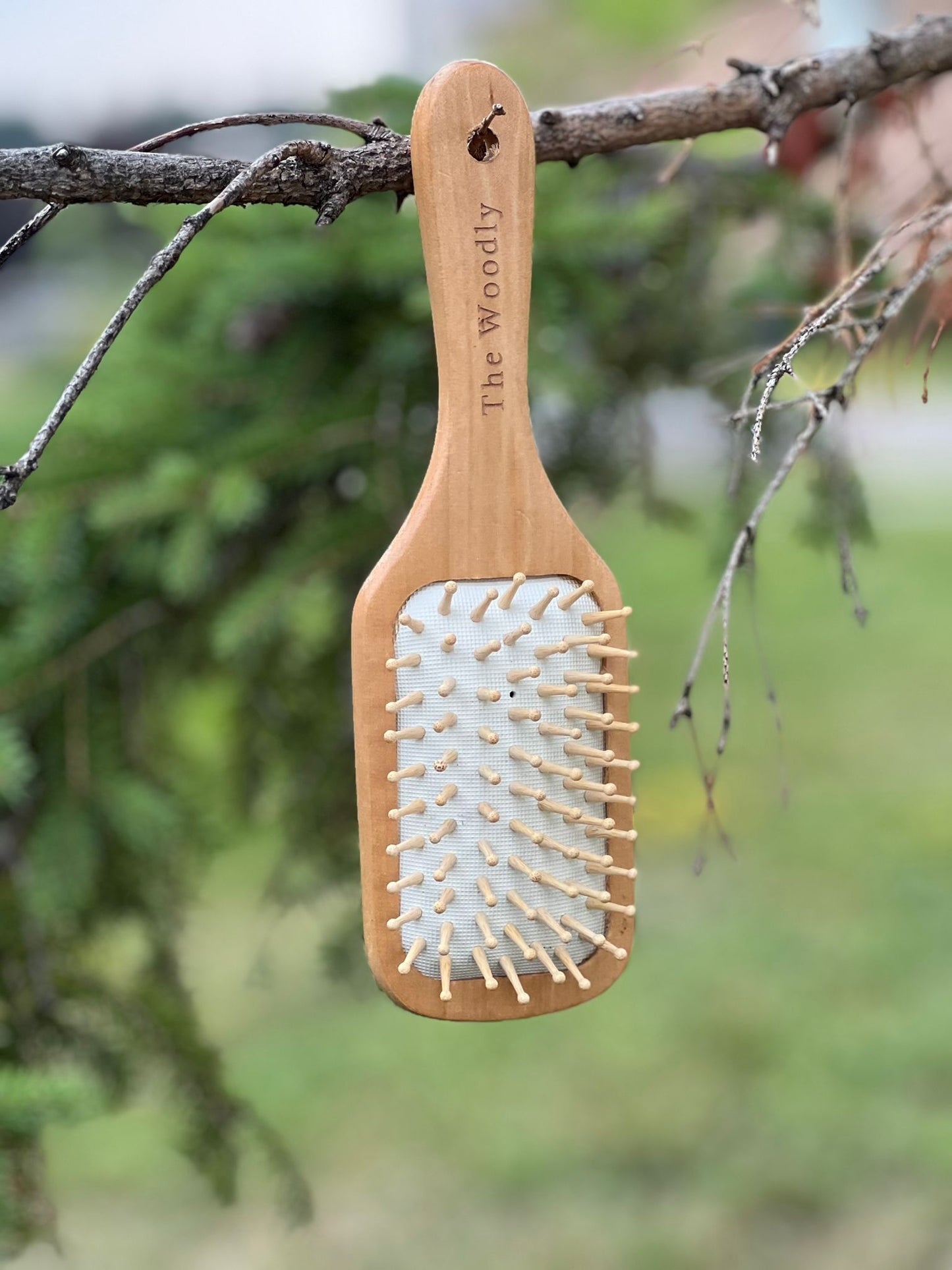 The Woodly Wooden Paddle Brush